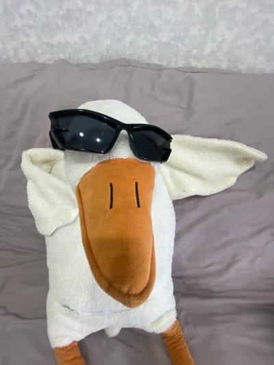 A stuffed animal that resembles a white goose or duck with an orange beak and brown legs is lying on a bed. It is wearing large black sunglasses. The background consists of a textured gray wall and a rumpled purple bedsheet. There are no people present in the image. The scene is indoors and appears to be in a bedroom. There is no information in the image to indicate its location in the city of Uchaly, Russia.