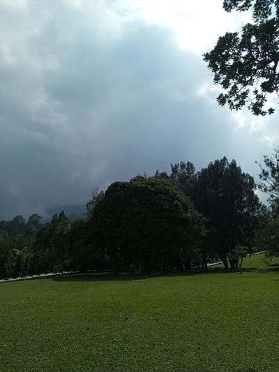 A green lawn occupies the foreground, leading to a line of dense trees. A dark storm cloud dominates the sky, casting a shadow over the landscape. Hints of brighter sky are visible to the right, partially obscured by leaves from a large tree branch overhead. Distant hills can be seen beneath the storm cloud, adding depth to the scene.