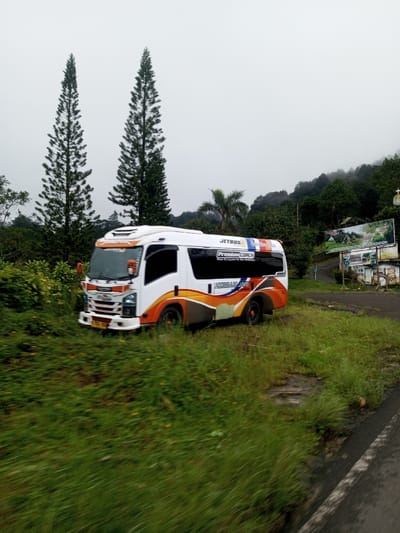 The image displays a white minibus, featuring "JETBUS" and "Premium Coach" branding, with "HARAPAN JAYA" visible in orange lettering along its side. The vehicle, identifiable by its Isuzu front grille, exhibits a custom body with orange, yellow, and blue graphic accents, and its headlights are illuminated. It is positioned on a grassy embankment to the left of a dark paved road. The immediate foreground is dominated by vibrant green grass, which extends around the bus. In the background, two tall, slender coniferous trees stand prominently on the left, while dense green foliage covers hills and mountains that recede into an overcast, misty sky. To the right of the road, a dirt path branches off towards a large, weathered billboard depicting a landscape with structures, and a smaller structure topped with a cross is partially visible beneath it. The environment suggests a mountainous or hilly region, characteristic of the city of Bangtsho, Bhutan, under foggy conditions. No people are visible, and no actions or interactions are depicted.