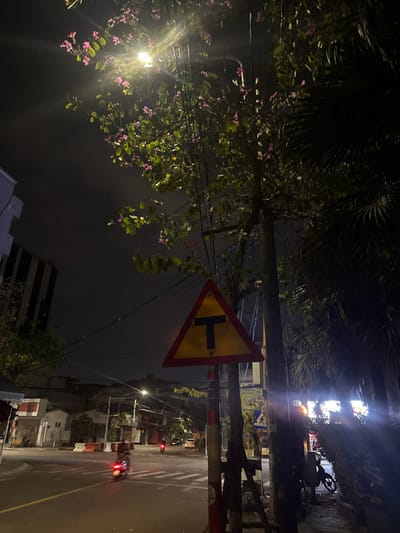 The image depicts a nighttime street scene in An Hải Ward, Vietnam, centered on a T-intersection warning sign. A yellow triangular sign with a black 'T' symbol is mounted on a red and white striped pole in the mid-right foreground. Above the sign, a tree with green leaves and scattered pink blossoms is illuminated by a bright street light, which emits a strong lens flare. Dark power lines are visible crossing the upper frame near the tree and light.

On the left side of the image, a tall, dark, multi-story building with prominent horizontal banding is partially visible against the dark, overcast sky. The asphalt road in the foreground features a solid yellow center line and white pedestrian crosswalk markings at the intersection. A motorcycle with a visible red taillight is in motion on the road, moving from left to right. Further down the street, another motorcycle and a white car are discernible amidst the ambient street lighting. Buildings, consistent with commercial or residential structures, line both sides of the road in the distance. The sidewalk on the right features dark foliage, possibly palm fronds, and a parked motorcycle. The overall scene is characterized by artificial light sources against a dark night sky.