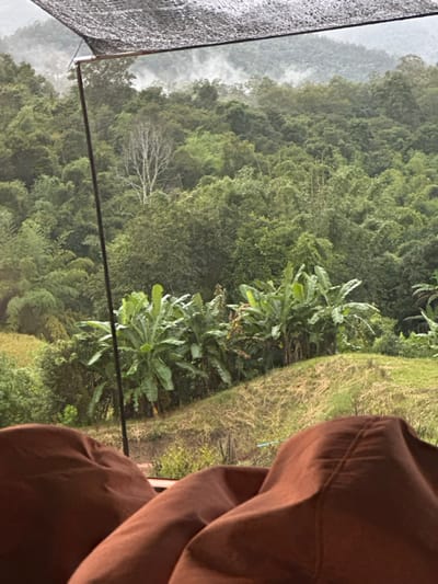 The scene displays a panoramic view of a mountainous jungle landscape in Ban Paem Bok, Thailand, observed from an elevated position. In the immediate foreground, two large, irregularly shaped brown fabric objects, resembling beanbags or cushions, partially obscure the bottom of the frame. Above these, a sloping grassy area with patches of dried vegetation transitions into a cultivated section featuring a prominent row of green banana trees with broad leaves. Further left, an area of lighter green crops is visible. A dark, coarse mesh canopy, likely a shade net, is partially visible in the upper left corner, supported by a thin, dark vertical metal pole that extends into the mid-ground. The background is dominated by dense, multi-layered tropical forest covering a series of rolling hills and mountains. A distinct, leafless tree with light-colored bark stands out against the verdant foliage in the upper-left background. The distant mountain peaks are partially obscured by atmospheric mist or low-lying clouds, indicating a humid environment. No human subjects or discernible actions are depicted within the frame.