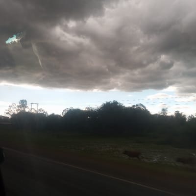 The image depicts an outdoor scene in Kobura ward, Kenya, captured from a low perspective, likely from inside a moving vehicle. The upper two-thirds of the frame are dominated by heavy, dark grey cumulus or nimbostratus clouds, indicative of overcast conditions or a recent meteorological event. A horizontal band of lighter sky, containing patches of light blue and wispy white clouds, is visible below the dark cloud mass, stretching across the horizon. A faint white aircraft contrail is present in the upper left portion of the sky, extending diagonally upwards. An irregular, bright cyan-colored artifact, consistent with a reflection or glare from a window, appears in the upper-left corner.
The mid-ground features a dense, dark green line of trees and bushes forming a natural barrier against the horizon. Multiple horizontal power lines are visible spanning across the mid-ground, slightly above the tree line, with a degree of motion blur present. A single utility pole is partially visible on the far left, amidst the foliage.
The foreground consists of a dark asphalt road surface occupying the lower-left quadrant, extending towards the lower-right. To the right of the road, a strip of uneven grassy terrain is visible. This grassy area contains several irregular, dark brown patches, consistent with standing water or saturated soil from recent precipitation. The immediate lower-left edge of the frame shows a dark, indistinct shape, likely part of the interior structure of the vehicle from which the image was taken. No human figures or specific actions are discernible. The overall lighting is dim, consistent with the heavy cloud cover.