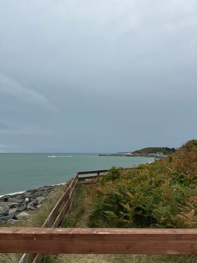 The image depicts a coastal scene in Courtown, Ireland, under an overcast sky. In the foreground, a weathered wooden fence runs horizontally across the lower portion of the frame. Beyond the fence, a path is visible, bordered by tall, dry grasses and vibrant green and brown ferns.
To the left of the path, a rocky shoreline meets the sea. The water is a muted green, with small waves lapping against the stones. A jet ski can be seen in the distance, leaving a white wake as it moves across the water.
Further along the coast, a town is nestled on a hill, with a pier extending into the sea. The buildings appear to be of a moderate size, and the overall landscape suggests a coastal village setting. The sky is a uniform gray, indicating cloudy or possibly rainy weather. The scene is devoid of any people, focusing instead on the natural environment and the man-made structures along the coast.