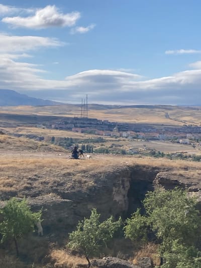 In the city of Avanos İlçe Merkezi, Turkey, a person in dark clothing is seated on a dry, grassy hill, interacting with two dogs. One dog, appearing to be black and white, stands near the seated person, while a smaller, white dog is positioned slightly further away. In the background, a town with buildings and structures, including tall radio towers, is visible across a valley of arid, rolling hills. The sky above is blue with scattered, wispy clouds. The foreground of the scene is characterized by the rough, dry terrain of the hill, with sparse green vegetation and a rocky outcrop suggesting a ravine or cliff edge.