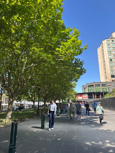A sunny city street scene shows a tall building above trees with bright green foliage. People walk on the paved sidewalk, casting shadows. A person wearing a light-colored shirt and dark pants stands between a tree and a decorative metal fence. The scene has a slight tilt, giving a dynamic perspective.