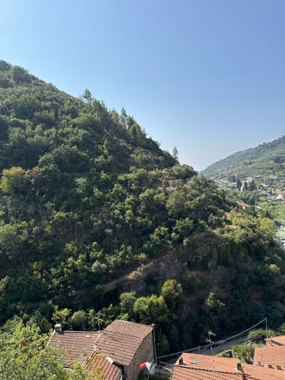 The image depicts a view of a steep, densely forested hillside and a valley town in Dolceacqua, Italy. In the foreground, terracotta-tiled roofs of houses are visible. The hillside is covered with a thick canopy of green trees and shrubs, with some rocky outcrops. Further in the distance, the valley reveals a town with buildings clustered together, a church with a tall steeple, and a sports field. The sky is a clear, bright blue. The overall impression is one of a rural, Mediterranean landscape bathed in sunlight.