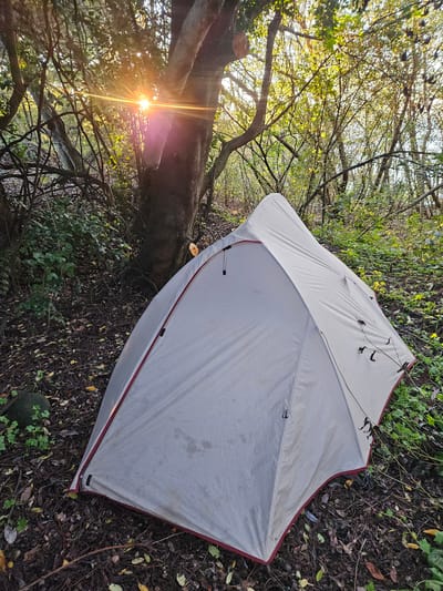A tent, off-white with red trim, is pitched on a forest floor. The tent is surrounded by leaf litter, small plants, and branches. Sunlight streams through the trees in the background, suggesting it is either early morning or late afternoon. The location appears to be a wooded area. Without further information, no connections to the city of Villarrica, Chile can be confirmed.