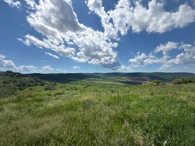 The image depicts a rural landscape in Balkantsi, Bulgaria. A field of tall green grass occupies the foreground, giving way to a valley with rolling hills and cultivated fields. Beyond the valley, forested hills rise toward the horizon. A clear blue sky is punctuated by scattered cumulus clouds. Overhead power lines are visible in the distance.