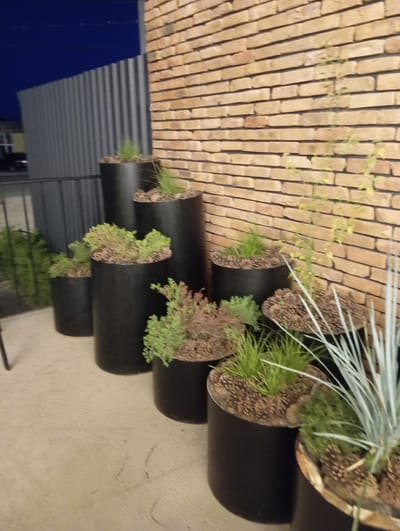 In Bosteri, Kyrgyzstan, a collection of cylindrical black planters filled with various plants sits on a concrete surface beside a brick wall and a corrugated metal fence. The planters are arranged in a staggered, tiered fashion, with some taller than others. The plants include small evergreen shrubs, grassy varieties, and a tall, pale blue-green succulent. The brick wall is made of light brown bricks laid in a stretcher bond pattern. The corrugated metal fence is a medium gray color and appears to be located to the left of the planters and wall. The sky above is a deep, dark blue. The scene suggests an outdoor urban setting, possibly a courtyard or a decorative area in front of a building. No people are visible in the image.