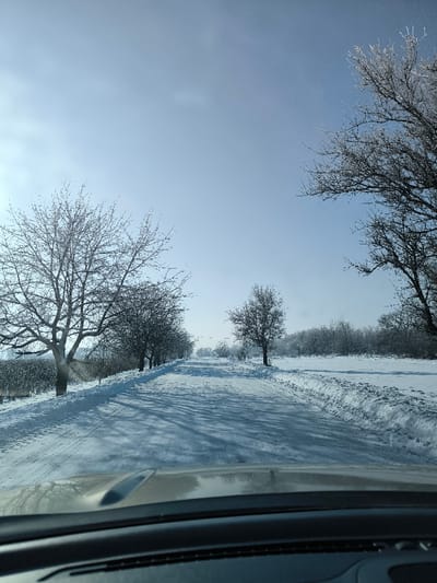 The image displays a snow-covered rural road in Khrinivka, Ukraine, viewed from inside a vehicle, with the dashboard and windshield visible at the bottom. The scene is under a clear, bright blue winter sky, with sunlight originating from the left, casting long, dark shadows of trees across the frozen road surface. The road, showing visible tire tracks in the snow, extends straight into the hazy distance. A row of bare deciduous trees, some with visible frost or rime ice on their branches, lines the left side of the road. Beyond these trees, a snow-covered field or orchard is visible. On the right side of the road, a wide expanse of undisturbed snow stretches into the background, where a line of dense, bare trees forms a dark silhouette. No individuals, animals, or specific actions are discernible within the frame.
