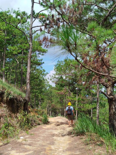 A person wearing a yellow bucket hat, a blue t-shirt, and khaki shorts walks away from the camera down a dirt path. The person carries a black backpack and is wearing sandals. They are in a forest with tall pine trees and green foliage. The path is made of packed dirt and has some scattered pine needles. The terrain slopes to the left, with a grassy embankment. The sky is partially visible through the trees and appears to be a mix of blue and white clouds. The lighting suggests it is daytime, with sunlight filtering through the canopy. This scene is consistent with trails found in Xuan Truong, a suburban area of Da Lat, Vietnam, known for its pine forests and mountainous terrain often used for hiking and outdoor activities.