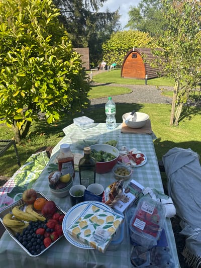 The scene is a picnic setup on a checkered tablecloth in an outdoor setting. The table is covered with various picnic items, including food, drinks, and utensils. The food includes fresh fruit, salad, olives, and other packaged snacks. The drinks include a bottle of water and a glass of juice. The utensils include a knife, a fork, and a spoon. The setting is in a grassy area with green trees and bushes in the background. There is a wooden cabin in the background, suggesting the location is a campsite or a holiday park. Two individuals are visible in the distance. The coordinates provided suggest the location is Cloughton, United Kingdom.