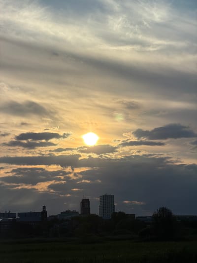 The image depicts a sunset over the city of 's-Hertogenbosch, Netherlands. The sky is filled with a mix of dramatic clouds, with the sun, a bright, hazy orb, partially obscured by darker clouds. The light from the sun casts a warm glow, highlighting streaks of lighter clouds. Silhouetted against the colorful sky is the city skyline, featuring several buildings. Prominently visible are two taller structures, one appearing to be a red brick building with a visible inscription, and another a white, modern high-rise. A church tower with a steeple can also be seen amongst the other, less distinct buildings and trees that form the silhouette of the city. The foreground is a dark, silhouetted field, possibly with tall grass, suggesting a natural area on the outskirts of the urban environment. The overall atmosphere is one of a dramatic, natural event unfolding above a man-made landscape.