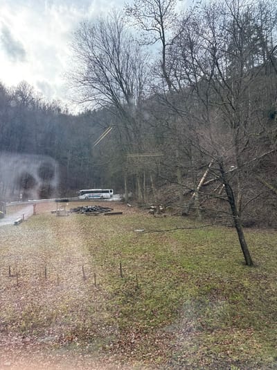 This image depicts an outdoor scene in Vavřinec, Czechia, under an overcast sky, characteristic of late autumn or winter conditions. The foreground consists of a gently sloping grassy area extensively covered with fallen brown leaves. Several thin, dark stakes are sparsely distributed in the lower left.
In the mid-ground, a flat section features a small wooden structure with a low bench-like element on the left, adjacent to a dirt path. To its right, a disordered pile of cut wooden logs or beams rests on the ground. A narrow, dark asphalt road traverses the scene horizontally, with patches of melting snow visible along its edges, particularly on the left.
A white tour bus with prominent blue and red graphics on its side is parked facing left on the right side of this road. Beyond the road, the background is dominated by a dense, steep hillside covered with numerous deciduous trees, primarily bare of leaves, and some evergreen trees, indicating a forest. Two distinct, light-colored lines, appearing to be cables or power lines, stretch diagonally across the upper-middle section of the image, elevated among the trees. Additional horizontal lines are visible lower down within the wooded area on the right. No individuals are present in the frame.
