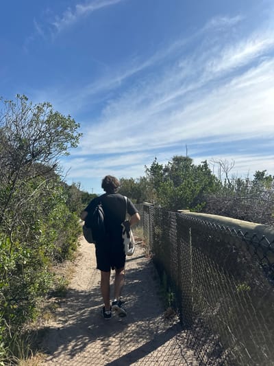 A person stands on a sandy path alongside a chain-link fence, possibly bordering a beach or coastal area. Lush green vegetation and trees grow nearby. The sky is a vibrant blue, filled with elongated white clouds. The person is dressed in dark attire, with a light-colored object slung over their shoulder. The setting appears to be a sunny day in a natural environment.
