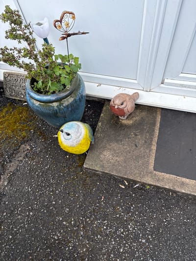 A ground-level shot depicts an entryway in Minsterley, United Kingdom. Adjacent to a white door frame with a gray welcome mat, a blue ceramic pot spills over with greenery. Inserted into the foliage are decorative elements: a metal butterfly and a solar-powered tulip light. Near the door, two ceramic bird figurines lie on the ground. One, a brown robin, rests near the doorframe, while a yellow and blue titmouse lies further out on the asphalt. The rough asphalt surface is speckled with light-colored stones and patches of green moss.