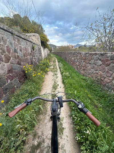 A first-person view from a bicycle shows a narrow, unpaved dirt path in Aegina, Greece. The path is bordered on both sides by robust stone retaining walls constructed from irregular, multi-colored stones. Green grass and wildflowers, predominantly yellow on the left and white on the right, line the path. Above the left wall, deciduous trees with bare branches and bushes with yellow blossoms are visible. Above the right wall, sparser vegetation, distant buildings with light-colored roofs, and a prominent hill or mountain are seen under an overcast sky with varying shades of gray and white clouds. The bicycle's black handlebars, featuring brown handgrips, a black bell on the left, and a gear shifter on the right, occupy the immediate foreground. No individuals are present.