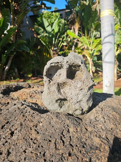 This is a close-up, angled, outdoor, eye-level shot of a porous, grey rock attached to a larger, textured, dark brown trunk-like object, possibly a tree or a lava rock formation. The rock in the foreground has several distinct indentations that resemble facial features, specifically two eye sockets and a mouth-like opening. The larger object it's attached to has a rough, pitted surface with variations in color from dark brown to lighter brown and reddish tones, suggesting age and exposure.
In the background, lush green foliage is visible, including large, broad leaves and some thinner, palm-like fronds. A light-colored, cylindrical object, possibly a pole or pipe wrapped with a yellow band, runs horizontally across the upper left portion of the image, partially obscured by the foliage. The scene appears to be set in a tropical or subtropical environment. The lighting suggests it is daytime, with sunlight casting shadows on the textured surfaces, creating a play of light and dark. The overall mood is natural and slightly whimsical due to the anthropomorphic appearance of the rock. There is no visible text in the image. The location context is Napili, United States of America.