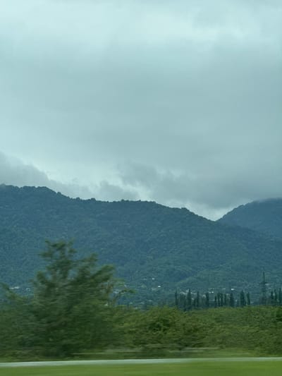 This image depicts a mountainous landscape under a cloudy sky, with a blurred foreground suggesting motion. The mountains are covered in dense green foliage, with a scattering of small buildings visible on their slopes. In the foreground, a line of tall, slender trees stands out against a backdrop of lush green vegetation. A portion of a road or path is visible at the bottom of the frame, separated from the greenery by a light-colored line. The overall atmosphere is muted and somber, likely due to the overcast weather. The location is identified as the village of Shukhuti, in the Guria region of Georgia.