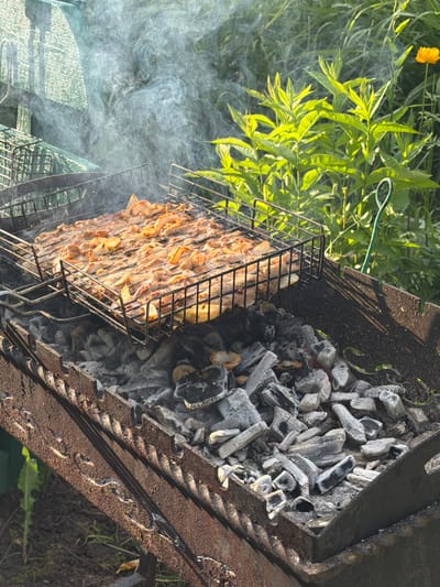 The image depicts an outdoor barbecue scene with food cooking on a grill over hot coals. The grill basket contains meat and onions, some of which appear to be seasoned. Smoke is rising from the grill, indicating that the cooking process is underway. The barbecue is situated in a natural, grassy environment with lush green foliage in the background, including a single yellow flower. The barbecue itself is a rustic, metal brazier with visible signs of rust and use. The ground around the barbecue appears to be soil and dry grass. There are no people visible in the image. The overall scene suggests a casual outdoor meal being prepared. The context of Petukhi, Russia, implies this setting could be a dacha (country house) or a park.