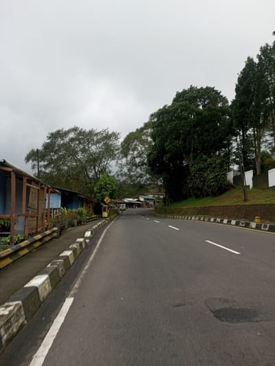 The image captures a two-lane asphalt road in Bangtsho, Bhutan, under an overcast sky. The road features a solid white line on the left shoulder and dashed white lane markers. Both sides of the roadway are lined with curbs composed of alternating black and white concrete blocks. On the left, a yellow and black striped barrier is visible, beyond which a series of single-story structures with corrugated roofs and various colored facades (blue, yellow, brown) stand, appearing to be small shops or dwellings. A yellow diamond-shaped road sign is present among the buildings on the left. Green trees are abundant on both sides of the road and in the background. On the right, an elevated grassy slope with some retaining walls is densely covered with trees, including tall conifers, and a white retaining wall or fence. The road curves gently to the left and ascends into the distance, where more buildings and dense vegetation are visible. No individuals or active vehicles are present in the foreground or mid-ground.