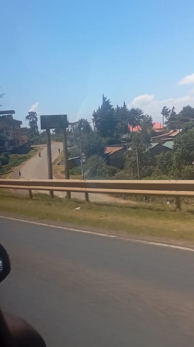 A curved road winds uphill, flanked by a metal guardrail in the foreground and a faded billboard in the middle. Houses with corrugated iron roofs nestle amidst trees. Sparse figures walk along the road. The sky is a clear, pale blue. The image appears to have been taken from a moving vehicle.