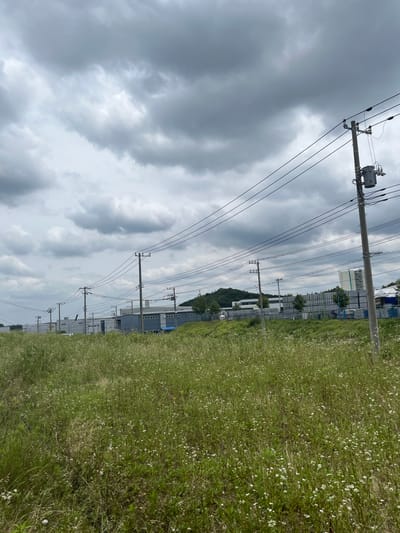 This is a photograph of a field of wild grass and small white flowers in front of industrial buildings under a cloudy sky. Power lines and utility poles are prominent in the foreground and midground. The buildings appear to be warehouses or factories, with a blue section on the right and a long, light gray structure to the left, featuring a series of evenly spaced windows or panels. A hill with trees is visible in the distance. The scene suggests an industrial area on the outskirts of a city. Based on visual cues, this scene is likely located in the city of Hanno, Japan, an area known for its blend of industrial development and natural landscapes.