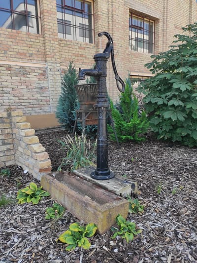 The image shows an outdoor scene with a vintage black water pump in the foreground. The pump stands on a wooden base next to a long, weathered stone trough filled with mulch. In the background, a brick building with large, multi-paned windows is visible. To the right of the pump, there are several evergreen plants and a large deciduous tree with broad leaves. To the left of the pump, a low, stepped brick wall is present. The ground is covered with wood chips. The scene appears to be in a garden or courtyard setting. This specific location is the courtyard of the Augustusburg Palace in Brühl, Germany, known for its historical architecture and gardens.