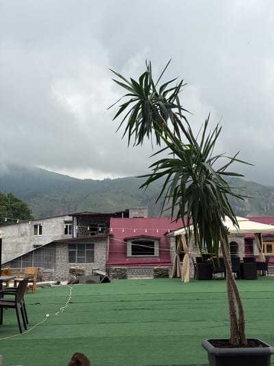 This is a wide, eye-level shot of a rooftop terrace in Goris, Armenia. The terrace is covered with green artificial turf. In the foreground, a large potted yucca plant with long, spiky leaves dominates the right side of the frame. A thin white electrical cord with a plug snakes across the turf from the left foreground towards the center. In the midground, several dark chairs and tables are arranged, some under beige awnings. Beyond the terrace, there are buildings with stone facades and red roofs. The background features a lush green mountain range under a heavily overcast, gray sky. There are no people visible in the image. The overall scene suggests an outdoor seating area of a restaurant or cafe, with a dramatic natural landscape as a backdrop.
