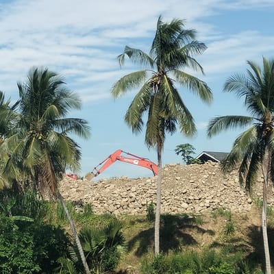 The image captures an outdoor scene featuring a large construction or land development site under a bright, partly cloudy sky. In the foreground and midground, several tall palm trees with green fronds dominate the view, some bearing coconuts. Their trunks and fronds cast shadows onto the vegetation below. Lush green undergrowth, including various bushes and grasses, fills the lower portion of the frame.
Behind the vegetation and palm trees, a large mound of irregularly shaped rocks and boulders is piled high. An orange excavator, identified by the "HITACHI" logo on its arm, is actively working on this pile. One excavator arm is extended towards the left, with its bucket appearing to dig into or move the rocks. Another excavator arm is visible further right, partially obscured by the central palm tree. In the upper right background, a dark-colored roof of a building or house is partially visible, suggesting a human settlement nearby. The sky is a clear blue with scattered white, wispy clouds. The bright lighting indicates it is daytime, likely a sunny morning or afternoon. The overall setting, with palm trees and the type of vegetation, is consistent with a tropical environment like Seuneubok, Indonesia. No people are visible in the image.