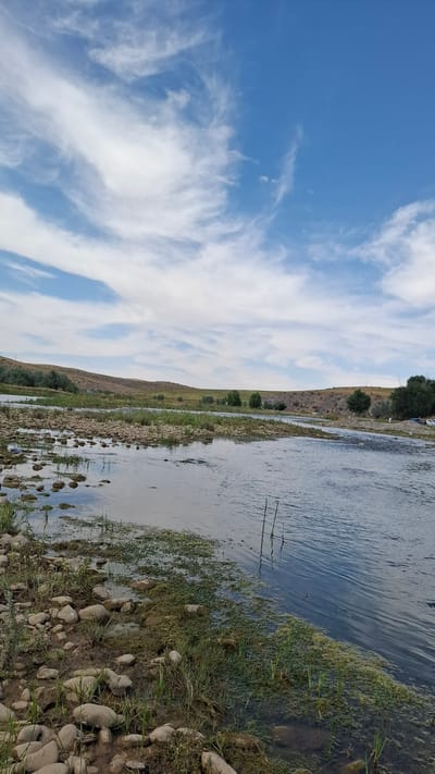 The image depicts a wide, shallow river with a rocky shore on the left. Green vegetation and reeds grow along the water's edge and in patches within the river. The water is calm with visible ripples and reflections. In the background, rolling, arid hills covered in sparse vegetation and trees rise towards a bright blue sky dotted with wispy white clouds. The overall scene suggests a natural, outdoor environment, possibly a park or a scenic area. Without further context, the specific location within Boraldai, Kazakhstan, cannot be determined from the image alone.