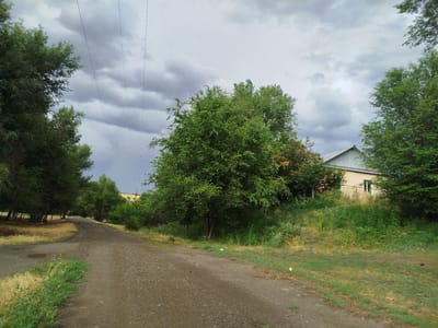 The image depicts a dirt road curving through a semi-rural area in Kabanbay, Kazakhstan, under a cloudy sky. Dense green trees line both sides of the road, with one side featuring a sloping grassy embankment leading up to a light-colored building with a grey metal roof, partially obscured by foliage. The building appears to be a house with at least one window visible. Power lines are strung across the upper portion of the frame, intersecting with the dark, stormy clouds. The road itself is a muted brown, with some patches of green grass and dry, yellowed vegetation growing along its edges. A small puddle is visible on the left side of the road. There are no people or animals present in the scene. The overall impression is one of a quiet, possibly overcast day in a suburban or rural setting.