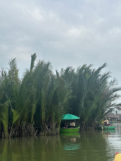 A river scene displays a round, green boat with passengers, sheltered by a matching umbrella. The boat floats amidst lush, dense palm trees. The water's surface reflects the greenery and cloudy sky. The overall atmosphere appears calm and overcast, highlighting the boat's vibrant color against the muted natural backdrop.