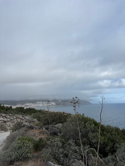 The image depicts a panoramic view of a coastal town, likely Sesimbra, Portugal, seen from a high vantage point. The scene is dominated by a vast, overcast sky, with layers of soft, diffused clouds stretching towards the horizon. Below the clouds, the deep blue of the ocean meets the rocky coastline. A town with white buildings is nestled along the shore, partially obscured by a low-lying mist that clings to the lower parts of the landscape.

The foreground is characterized by rugged, rocky terrain covered with dry vegetation and sparse green bushes. Two dry, thorny branches extend into the frame from the right, their skeletal forms silhouetted against the sky. A thin, dark wire runs horizontally across the middle ground, possibly a fence or part of a railing. In the distance, a small red object, possibly a flag or a buoy, is visible on the coastline. The overall atmosphere is subdued and perhaps a little melancholic, owing to the overcast weather and the muted colors. The time of day is not clearly discernible due to the cloud cover, but the soft light suggests it could be morning or late afternoon. There is no visible text in the image.