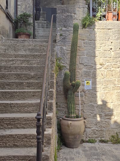 A tall, green cactus with multiple arms stands in a large, rustic, beige clay pot at the base of a stone wall in the city of San Marino, San Marino. The pot has two handles and a rope detail around its rim. The cactus is leaning slightly to the left. To the left of the cactus, a set of rough, grey stone stairs ascends. A metal handrail with decorative spindles runs along the side of the stairs. The stone wall behind the cactus has a yellow sign with a black border and an icon of a camera. The sign appears to be a warning or informational notice. The environment suggests an outdoor setting, possibly a pathway or courtyard, with the stone architecture indicative of the historic city. The lighting indicates it is daytime, with shadows cast on the wall and ground.