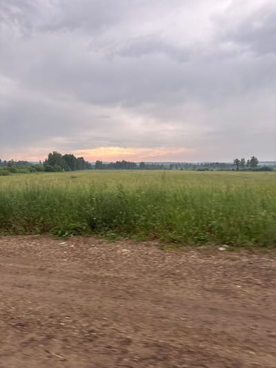The image depicts a wide, flat field of tall, green grass or crops. In the distance, a line of trees forms the horizon, with a faint pinkish-orange glow in the sky behind them, suggesting either sunrise or sunset. The sky itself is overcast with a layer of grey clouds. In the foreground, a dirt or gravel road runs horizontally across the bottom of the frame, showing signs of motion blur, indicating the photo was likely taken from a moving vehicle. There are no people or animals visible in the scene, and the environment appears rural. The location is identified as Savvateevka, Russia.