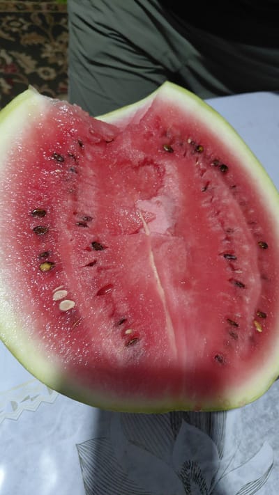 The image shows a close-up view of a halved watermelon, resting on a patterned surface. The watermelon is bright red and appears juicy, with visible seeds scattered throughout its flesh. A portion of the rind is visible, transitioning from green to white. To the left of the watermelon, dark fabric, possibly clothing, is draped. The background on the right features a light-colored surface with a subtle pattern of lines and floral shapes, suggesting an indoor setting. The lighting appears to be natural, casting soft shadows and highlighting the glistening texture of the watermelon. The overall impression is one of a refreshing, recently cut fruit. There is no visible text in the image.