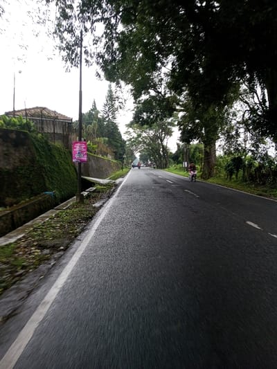 This image depicts a two-lane asphalt road in the city of YonPhoogla, Bhutan, observed under an overcast sky. The road surface appears wet or damp. On the left side, a concrete drainage ditch runs parallel to the road, bordered by a steep embankment covered in dense green foliage. Above the embankment, a structure with a red-tiled roof and fencing is partially visible among trees. A dark utility pole stands on the left, bearing a pink and white rectangular banner with unreadable Asian script and graphics, including a stylized human figure. Trees with thick green canopies line both sides of the road, extending into the distance. In the right lane, an individual in dark clothing operates a pink or red scooter/motorcycle, moving away from the viewer. Further down the road, several additional motorcycles and possibly a small car are visible in the left lane, also traveling away. White lane markings are present: a solid line defining the left edge and a dashed line separating the lanes in the distance.