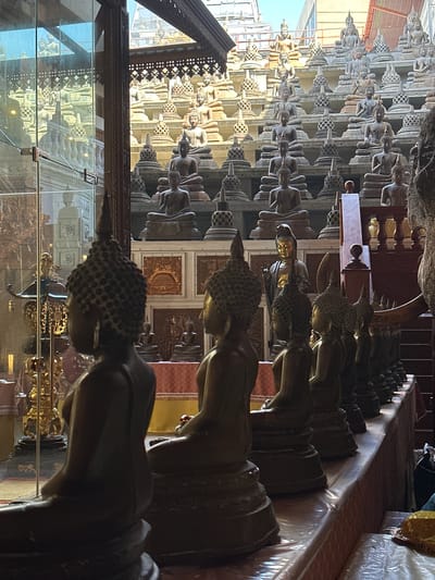 This media file captures a view inside a temple, likely in Colombo, Sri Lanka, characterized by a large collection of Buddha statues. The statues are arranged in rows, with many appearing to be seated or in meditative poses. Some are made of stone, while others are golden, suggesting varying historical periods or importance.
The scene is dimly lit, with the golden statues reflecting the light, creating a sense of grandeur and spirituality. In the foreground, a large, dark Buddha statue is partially visible, with its textured hair and serene face being a focal point. The statues extend into the background, creating a mesmerizing and overwhelming display. The backdrop features ornate walls with intricate patterns and decorative elements, typical of Buddhist temple architecture.
The image appears to be taken during the day, though the interior lighting is subdued. There are no discernible emotions or specific activities taking place, as the focus is on the static display of religious icons. The presence of glass in the foreground suggests a display case or enclosure, possibly protecting some of the artifacts. The overall impression is one of reverence and peace, highlighting the cultural and religious significance of the location. The stone statues in the background suggest an extensive collection, possibly housed within a cavernous space, as hinted by the textured ceiling in the upper portion of the image. The arrangement and sheer number of statues emphasize devotion and the enduring presence of Buddhism.