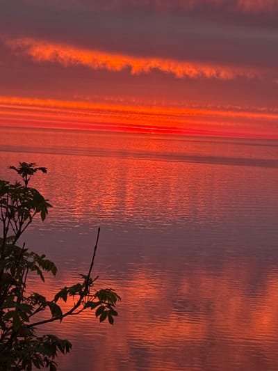 The image depicts a vibrant sunset over the Baltic Sea, as viewed from the coast of Vääna-Jõesuu, Estonia. The sky is ablaze with hues of orange and red, with streaks of dark clouds adding contrast. The water reflects the fiery colors of the sunset, creating a shimmering effect. In the foreground, a silhouette of a tree branch with leaves is visible on the left side of the frame. The overall scene conveys a sense of tranquility and natural beauty.