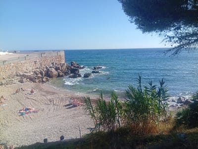 The image depicts a sunny day at a pebble beach in Bandol, France. The sea is a vibrant blue with gentle waves, and a clear sky stretches above. In the foreground, a lush patch of green reeds and grasses grows on the embankment. The beach itself is dotted with a few sunbathers, some lying on towels and others sitting in chairs. A stone wall with a railing lines the edge of a paved promenade above the beach, with the town visible in the background on the left. Several people are scattered across the beach, some appearing to be relaxing or sunbathing. Rocky outcrops are visible at the water's edge, and a few yellow buoys float in the sea. The overall impression is one of a peaceful coastal scene.