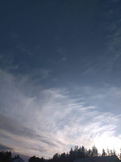 The image captures a sky filled with wispy, cirrus clouds, illuminated by what appears to be a low-lying sun, casting a soft glow on the scene. Silhouetted against this sky are the dark, jagged tops of coniferous trees, forming a dense line across the lower third of the image. Below the treeline, a few building structures are partially visible, suggesting a residential area. One building, a house with a chimney, is more clearly discernible on the left. The overall impression is of a tranquil, late afternoon or early evening in a semi-rural or suburban setting, likely in Averøy, Norway, given the characteristic coniferous forests and the quality of light often seen in Scandinavian regions. There are no people or explicit actions depicted.