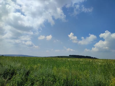 The image depicts a vast, green meadow under a bright blue sky dotted with white, fluffy clouds. Rolling hills and a dark line of trees are visible in the distance. The foreground is filled with tall, lush grass and wildflowers, creating a natural and serene landscape. The sky occupies the upper half of the image, showcasing a clear day with scattered clouds. The overall scene is one of rural tranquility. There is no indication in the image that it is located in Bakhmut, Russia, or any other specific city.