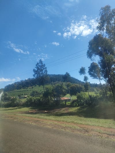 The image shows a landscape in Kibirichia ward, Kenya, under a blue sky with scattered white clouds. A forested hill with terraced slopes dominates the background. In the midground, there are various trees and shrubs, along with a few small structures, possibly houses or sheds. Power lines stretch across the scene. The foreground consists of a grassy verge and a paved road. No people or animals are visible.