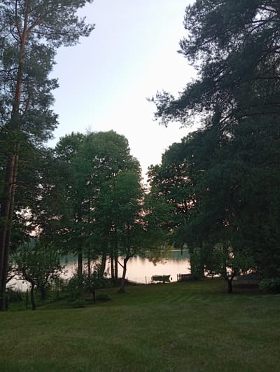 The image depicts a serene natural landscape, likely in the vicinity of Podmacharce, Poland, given the context. The foreground features a well-maintained grassy lawn, sloping gently towards a body of water. Several mature trees, primarily conifers and deciduous varieties, frame the scene, their branches reaching towards a pale, overcast sky.

In the middle ground, bordering the lawn and the water, are more trees and some vegetation. Along the shoreline, a small boat is moored near a bench and a wooden fence. The water itself appears calm, reflecting the soft, diffused light of what seems to be either early morning or late evening. The overall impression is one of tranquility and natural beauty, characteristic of a rural or lakeside setting. There are no people or animals visible in the frame. The environment suggests a peaceful, undisturbed atmosphere.
