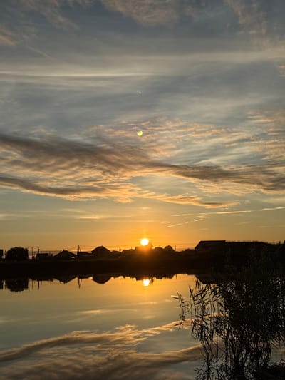 The image depicts a serene sunset over a body of water, with a silhouetted treeline and houses in the background. The sky is filled with streaky, wispy clouds tinged with orange and yellow from the setting sun. The sun itself is a bright orb, partially obscured by the horizon, casting a golden glow across the scene. The water's surface acts as a mirror, reflecting the sky, the sun, and the silhouettes of the houses and trees, creating a symmetrical and tranquil effect. In the foreground, the dark silhouette of reeds or tall grasses adds a natural element to the composition. The overall impression is one of peace and natural beauty, characteristic of a rural or semi-rural setting like Sapunov Bor, Russia, at the end of the day.