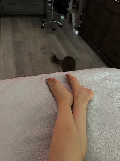 In Bellmore, United States of America, a close-up, eye-level view captures two bare human feet resting on a textured, light-colored blanket. The toes of the right foot are painted with red nail polish. In the background, a blurry, gray and brown animal, likely a cat, is visible on a light-colored wood-grain floor. The floor leads to dark brown furniture, possibly a dresser, and a rolling office chair. The overall scene suggests an indoor domestic setting.