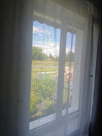 A medium shot captures a view through a sheer white curtain onto a bright, sunny day outside a window in Shipunovo, Russia. The curtain, which has a subtle checkered pattern and is partially drawn, drapes across the foreground. Through the transparent fabric, a residential scene unfolds. A window with multiple panes is visible, reflecting the clear blue sky with scattered white clouds. Beyond the window, a green, somewhat overgrown garden area is visible, with some red flowers and blue fencing. Further in the background, there is a stack of firewood and trees. The overall impression is one of a simple, rural or suburban setting bathed in natural light.
