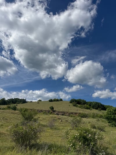 The image shows a landscape view under a blue sky with scattered white clouds. A grassy hillside occupies the right side of the frame, with a mix of trees and shrubs along its upper edge and some rocky outcrops visible. There are small white flowers growing on the hillside. The location is likely in the area of Dragovishtitsa, Bulgaria, based on the prompt, but no specific landmarks are visible to confirm this. There are no people visible in the image.