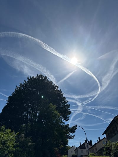 In Salach, Germany, a bright sun shines in a clear blue sky filled with numerous airplane contrails forming intricate patterns. The contrails, white streaks of condensed water vapor, crisscross the sky, with some forming semicircular shapes and others appearing as straight lines. The sun, partially obscured by a contrail, creates a lens flare effect. In the foreground, the dark silhouette of a large evergreen tree dominates the left side of the frame, with its dense foliage obscuring parts of the sky. To the right, several houses with tiled roofs are visible, along with a streetlamp. Lush green trees and bushes are also present at the bottom of the image, suggesting a residential area surrounded by vegetation. No people are visible in the scene.